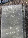 image of grave number 815927